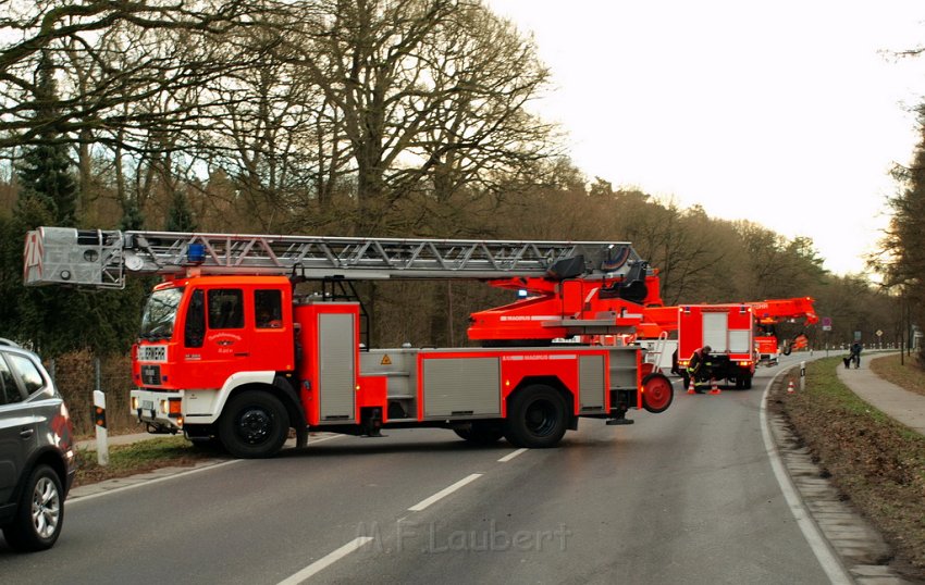 VU Koeln Porz Grengeler Mauspfad Hirschgraben P069.JPG